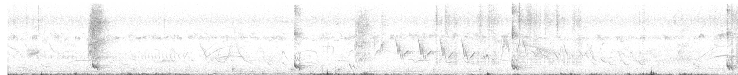 Tourco huppé - ML646660647