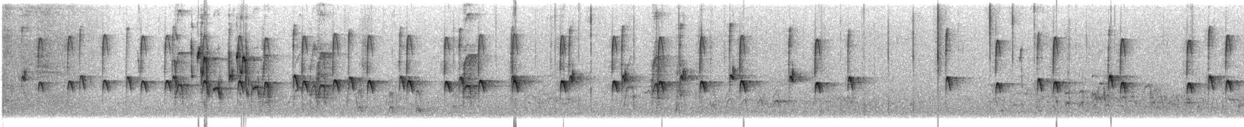 Pygmy Nuthatch - ML646660705