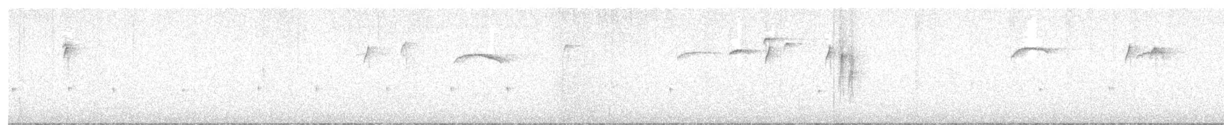 hýl nachový (ssp. purpureus) - ML646661310