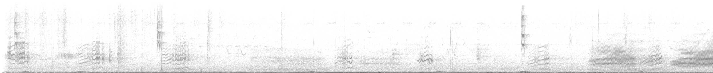 Tasmanian Nativehen - ML646662324