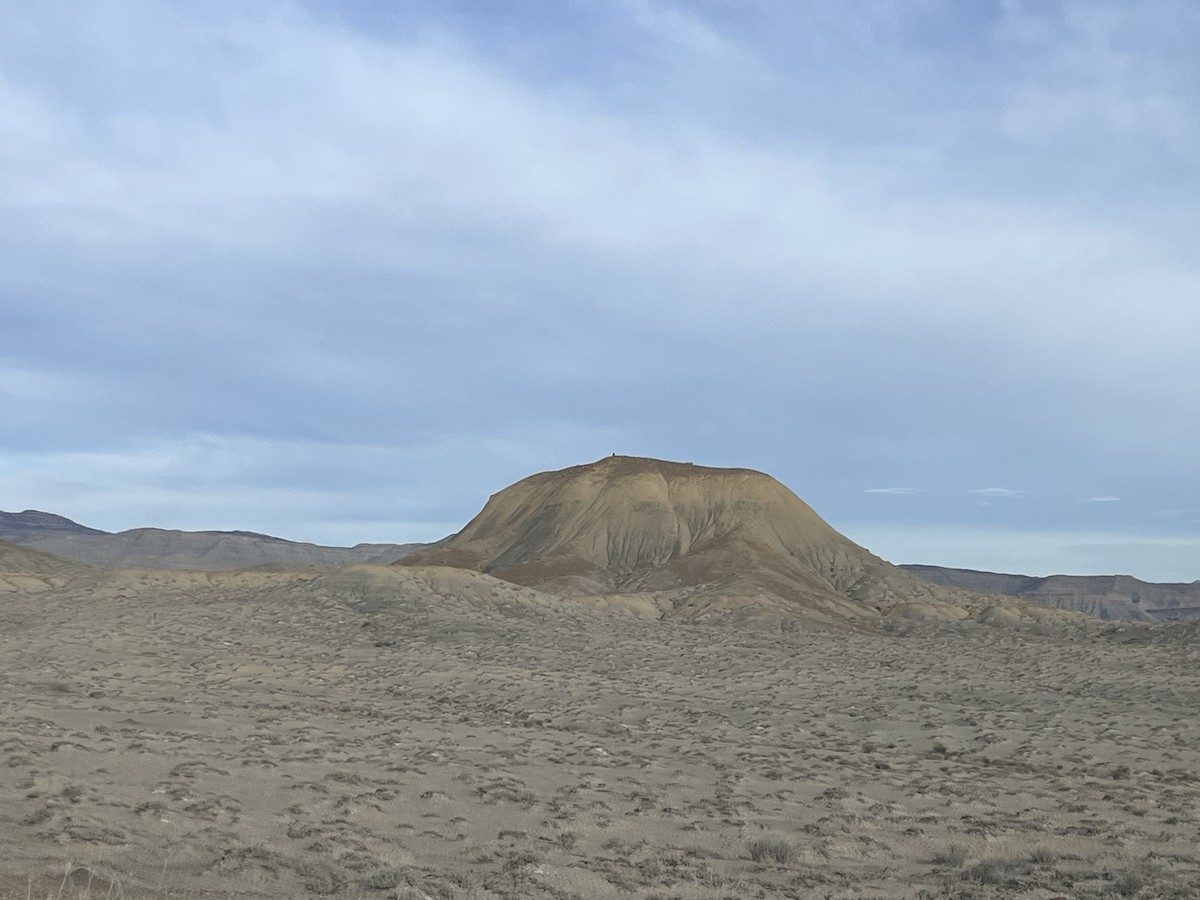 Golden Eagle - ML646663450