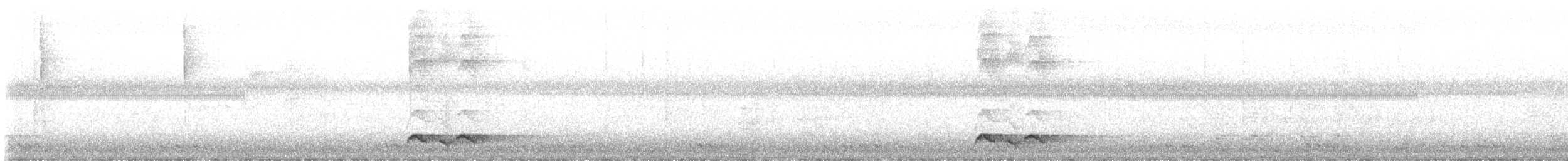 Cimitarra Estriada - ML646663487