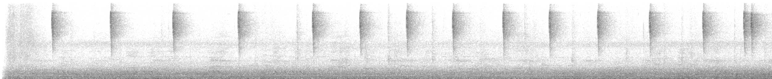 Buscarla Colicorta Asiática - ML646663494