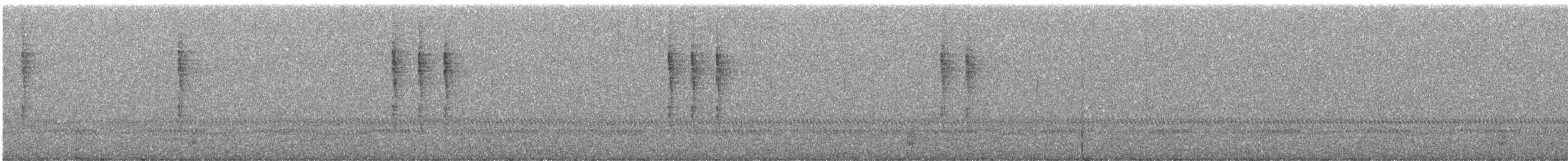 Pacific Wren - ML646663998