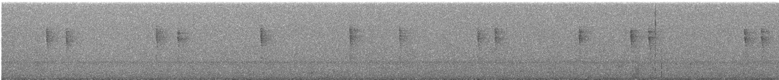 Pacific Wren - ML646664000