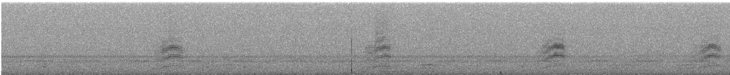 Spotted Towhee - ML646664007