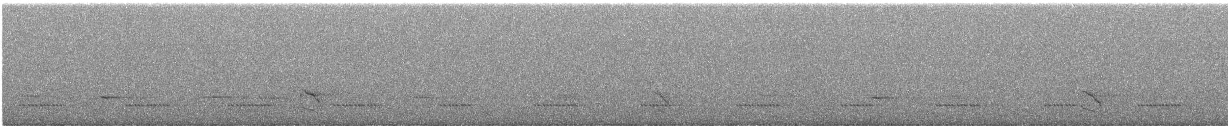 Townsend's Solitaire - ML646664010