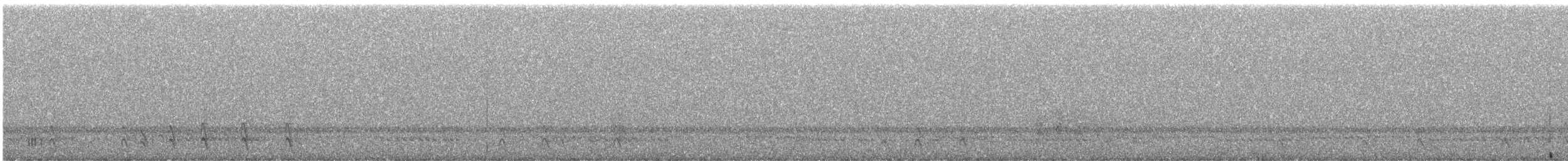 American Robin - ML646664014