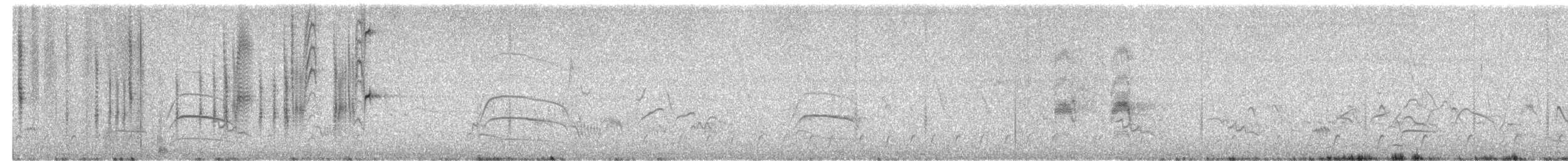 Dinelli's Doradito - ML646664410