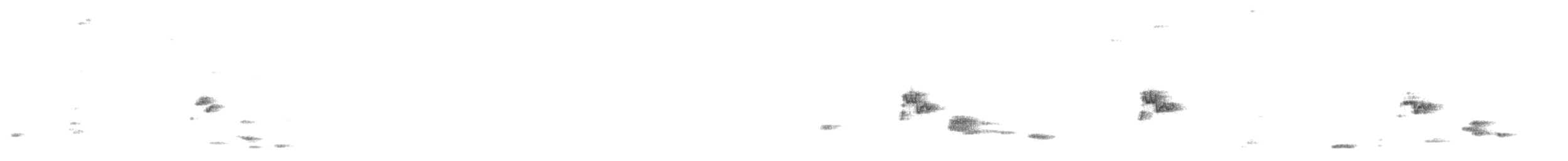 Silvereye - ML646664539