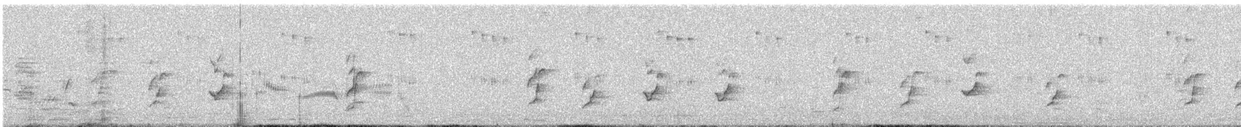 Perruche à tête prune - ML646664792