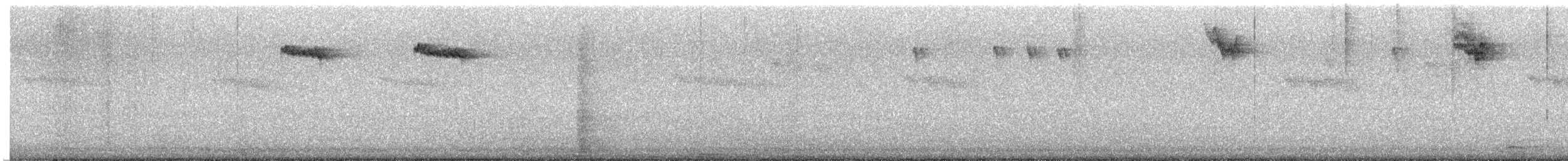 Brown Creeper - ML646664865