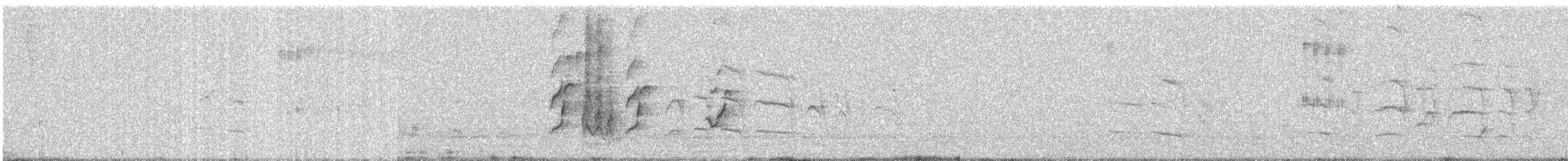 Jungle Babbler - ML646664888