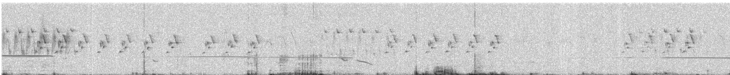 Ashy Prinia - ML646664911