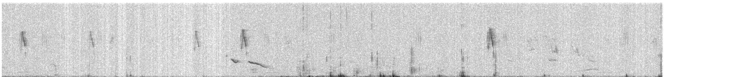 Plain Prinia - ML646664922