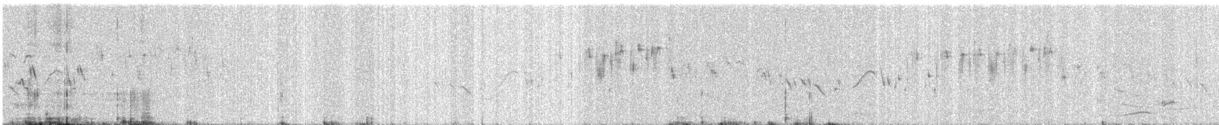 Plain Prinia - ML646664927