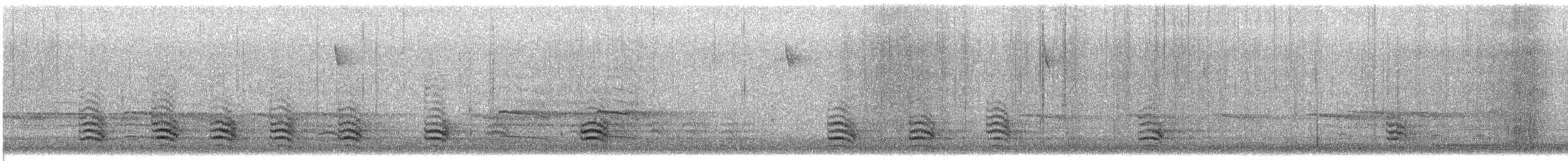 White-breasted Nuthatch - ML646665423