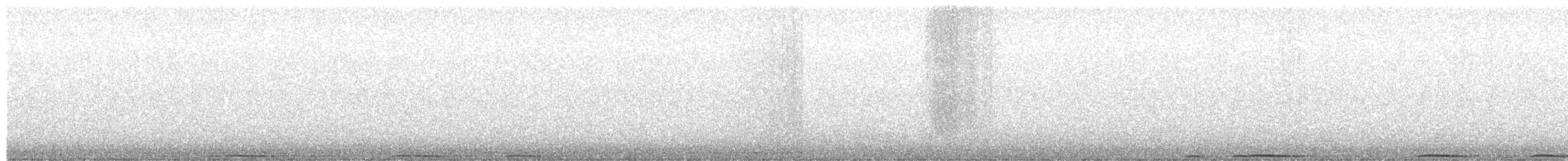 výr virginský - ML646665548