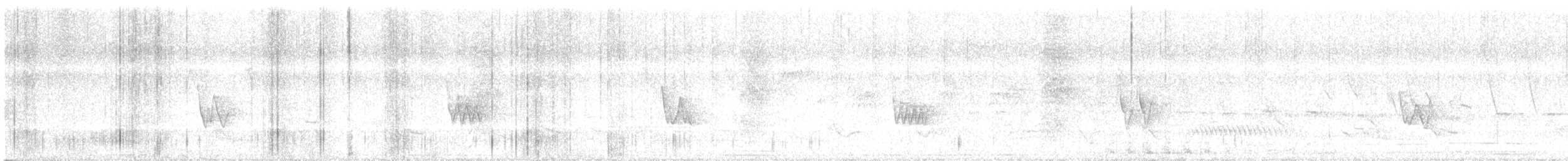 Chivi Vireo - ML646665582