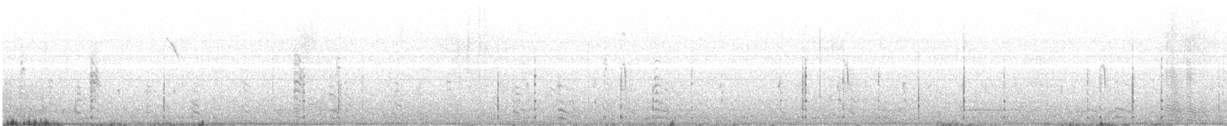 White-winged Coot - ML646665634