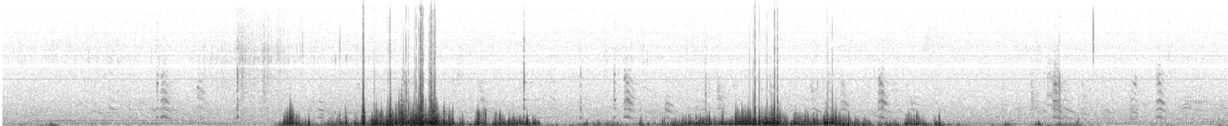 White-winged Coot - ML646665635