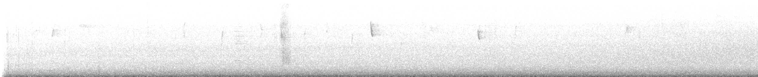 White-tipped Dove - ML646665810