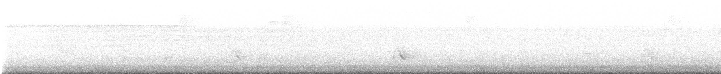 Gray-cheeked Thrush - ML646666002