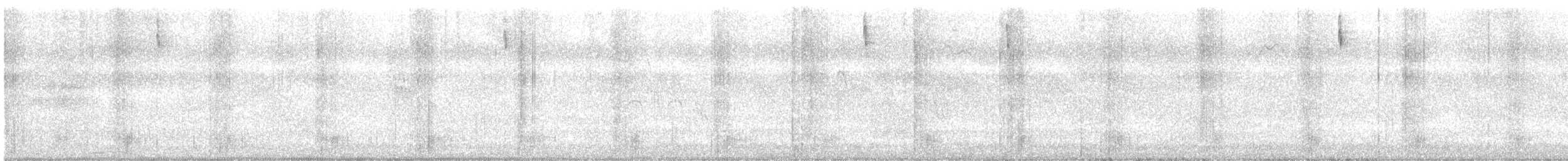 Striated Heron - ML646666626