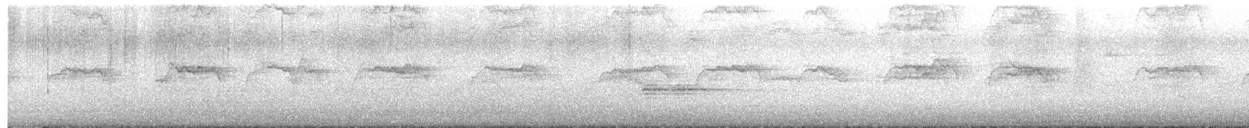 Rock Pigeon (Feral Pigeon) - ML646666656