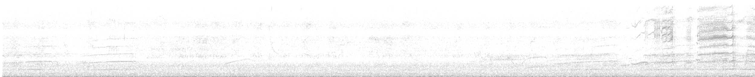 遊隼 - ML646666722