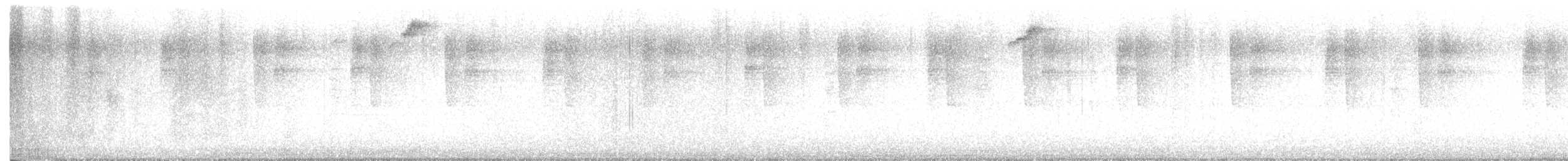 Mexican Violetear - ML646667085