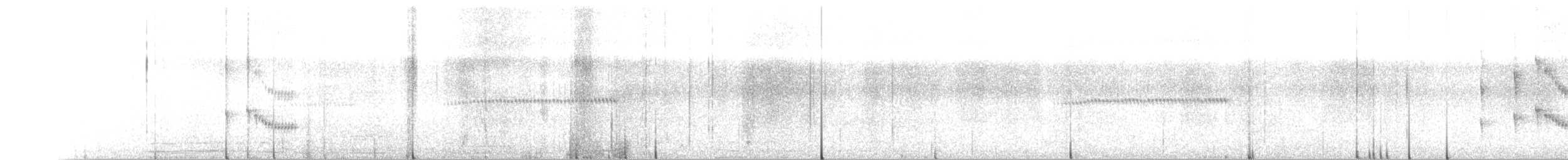 Pearly-vented Tody-Tyrant - ML646667304