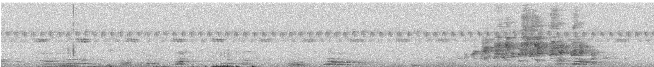 Spotted Owlet - ML646667907