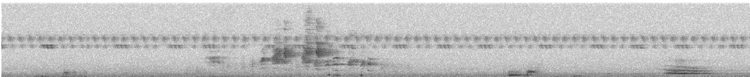 Spotted Owlet - ML646667923