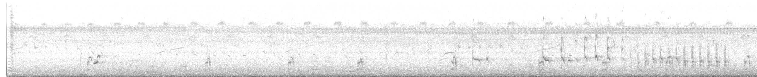 Dunkelwasserläufer - ML646667928