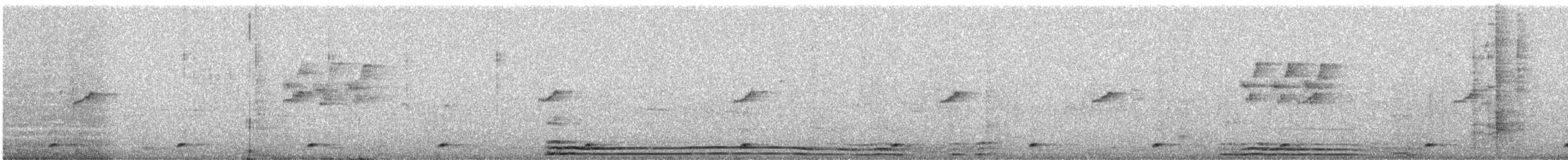 Coppersmith Barbet - ML646668017