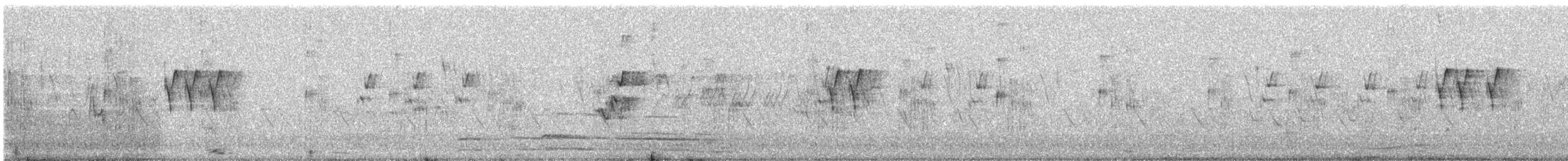 Ashy Prinia - ML646668100