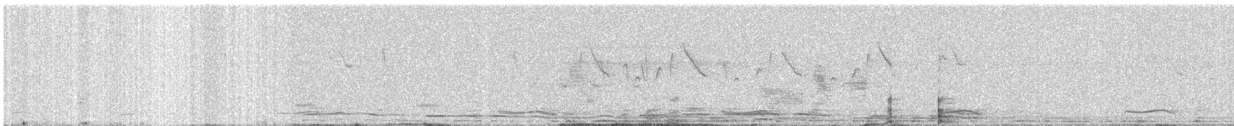 Asian Koel - ML646668155