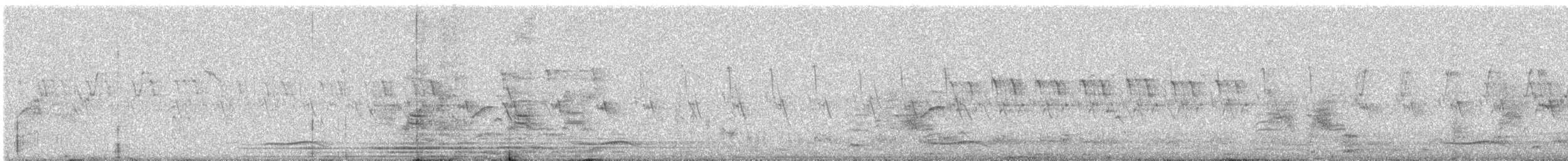 Black Drongo - ML646668188