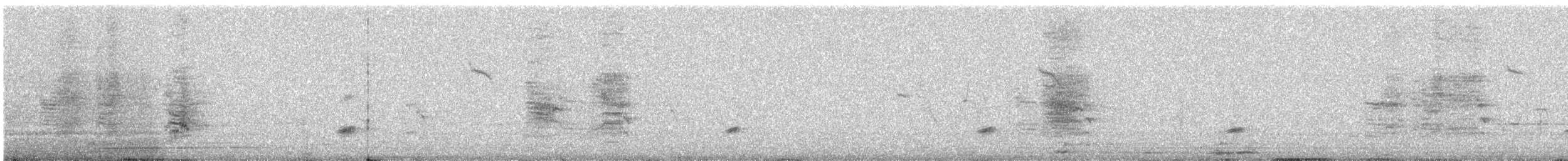 Black Drongo - ML646668217