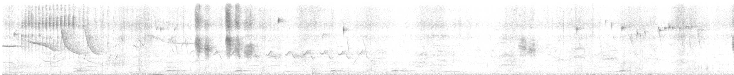 Scimitar-billed Woodcreeper - ML646668427