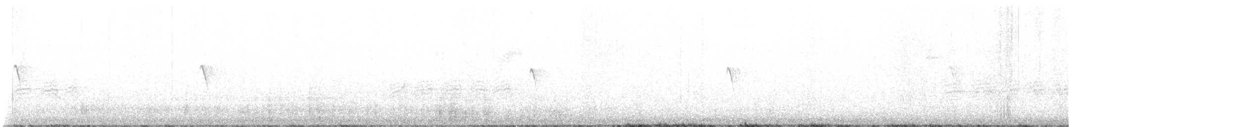 Чёрный фиби - ML646668973