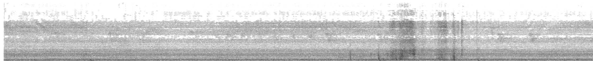 Black Phoebe - ML646669486