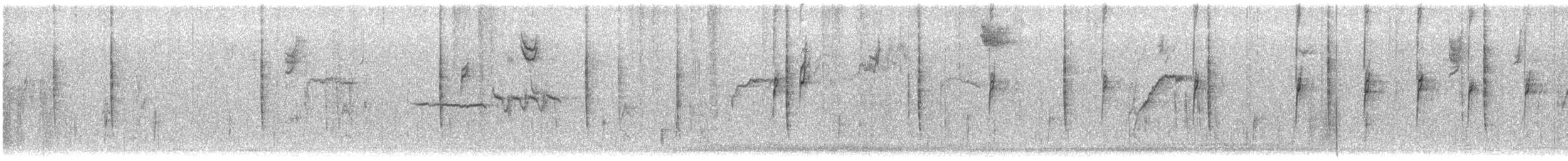 strnadec bělopásý - ML646669913
