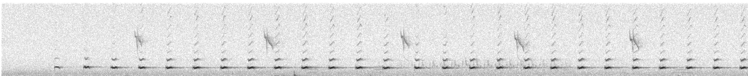 kulíšek brazilský - ML646670512