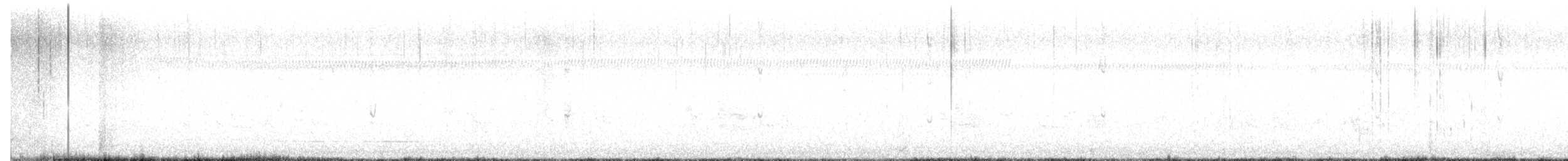 jespák písečný - ML646670753