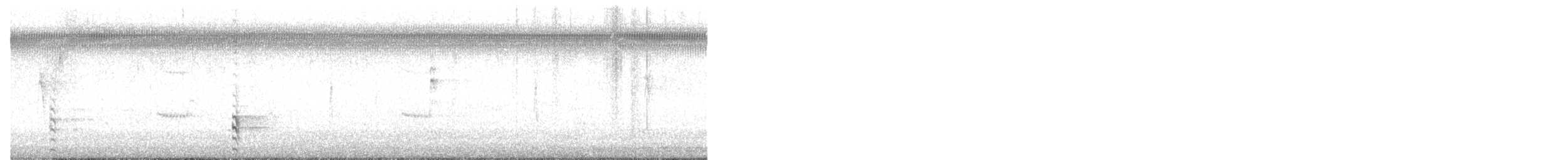 Amerika Sutavuğu - ML646670922