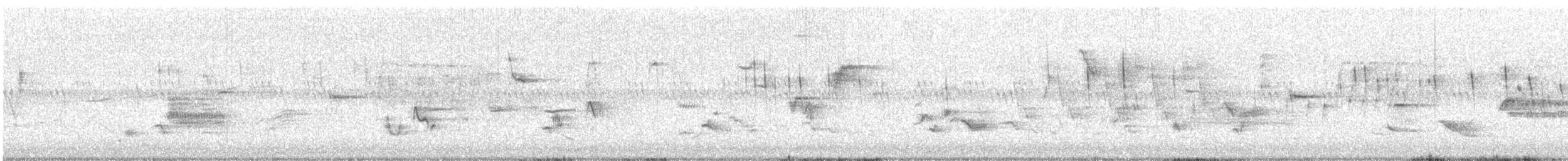 Chimney Swift - ML646672127