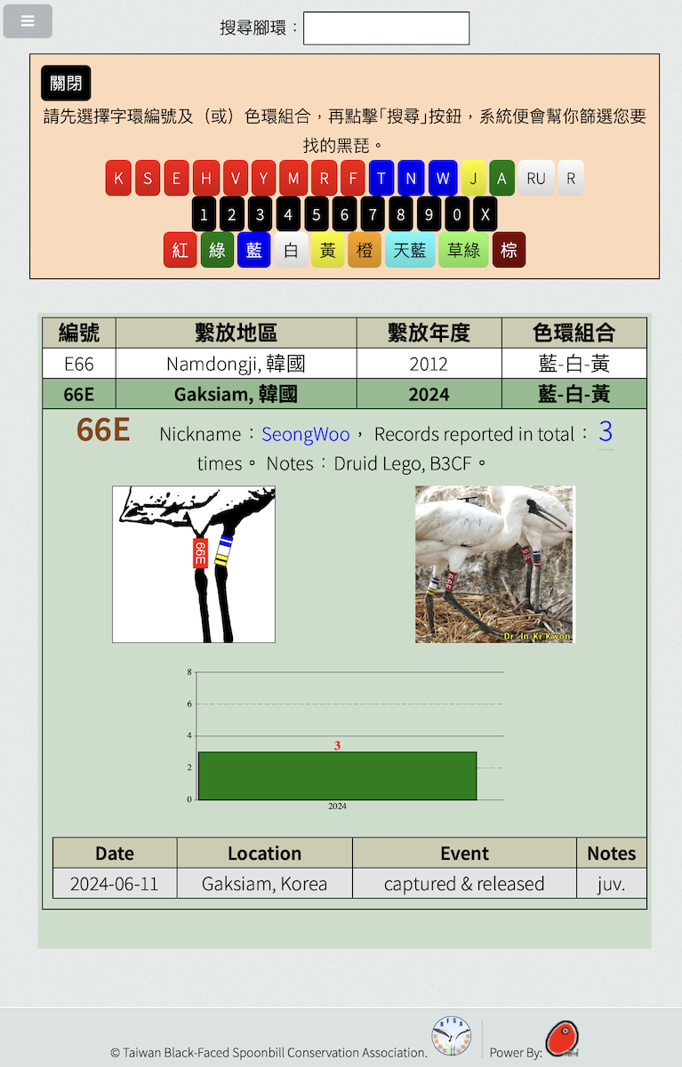 クロツラヘラサギ - ML646672168