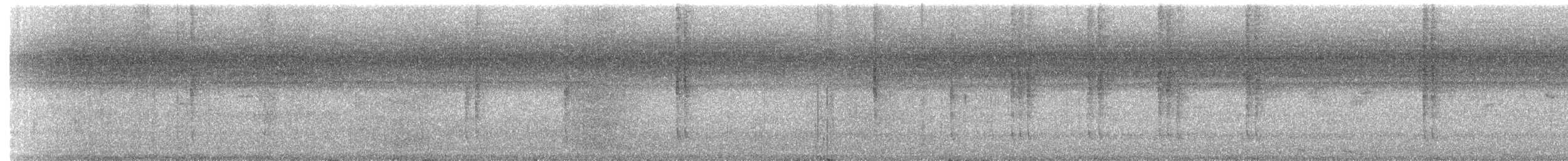 Rufous-tailed Hummingbird - ML646672200